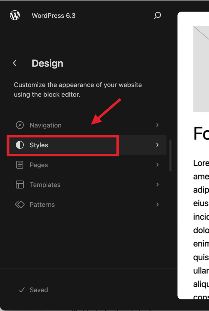 WordPress Site Editor stilių langas, kuriame keičiamos svetainės spalvos ir tipografija